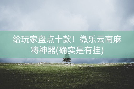 给玩家盘点十款！微乐云南麻将神器(确实是有挂)