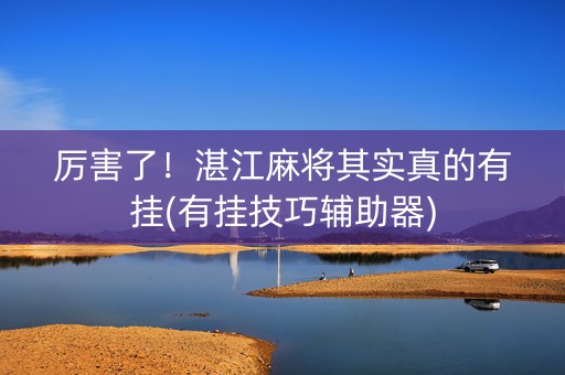 厉害了！湛江麻将其实真的有挂(有挂技巧辅助器)