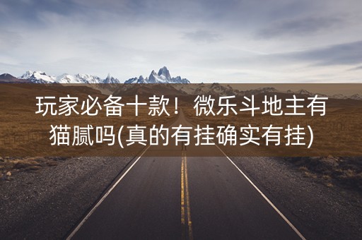 玩家必备十款！微乐斗地主有猫腻吗(真的有挂确实有挂)