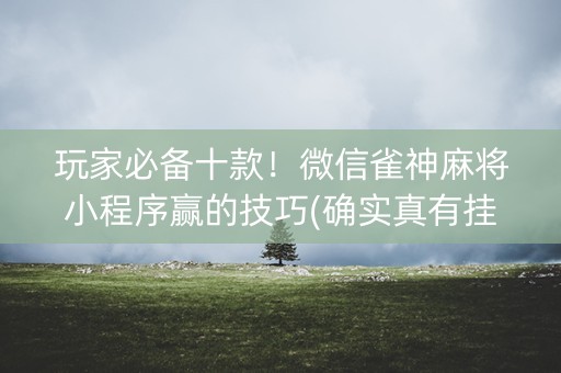 玩家必备十款！微信雀神麻将小程序赢的技巧(确实真有挂)
