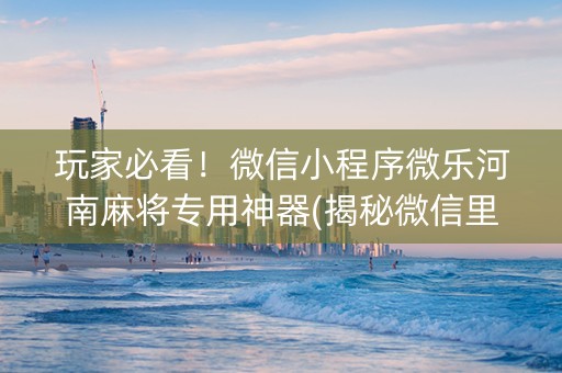 玩家必看！微信小程序微乐河南麻将专用神器(揭秘微信里提高胜率)