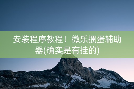 安装程序教程！微乐掼蛋辅助器(确实是有挂的)
