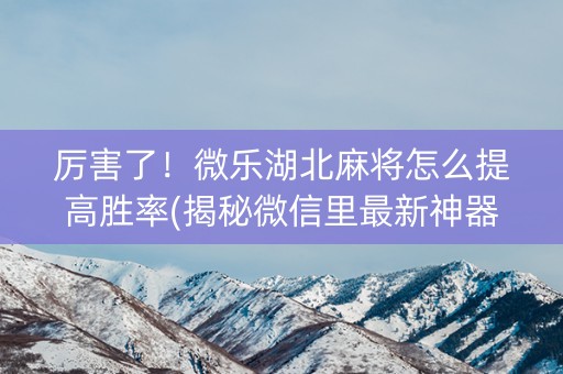 厉害了！微乐湖北麻将怎么提高胜率(揭秘微信里最新神器下载)