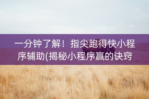 一分钟了解！指尖跑得快小程序辅助(揭秘小程序赢的诀窍)