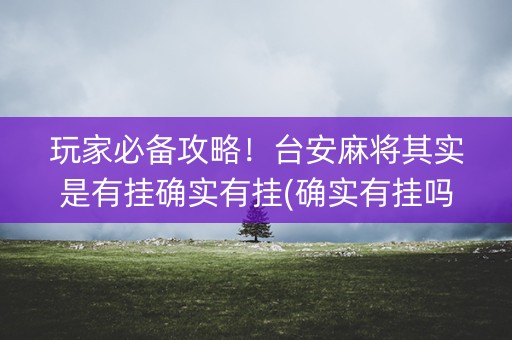 玩家必备攻略！台安麻将其实是有挂确实有挂(确实有挂吗)