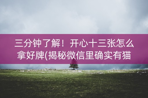 三分钟了解！开心十三张怎么拿好牌(揭秘微信里确实有猫腻)