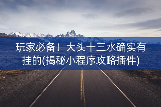 玩家必备！大头十三水确实有挂的(揭秘小程序攻略插件)