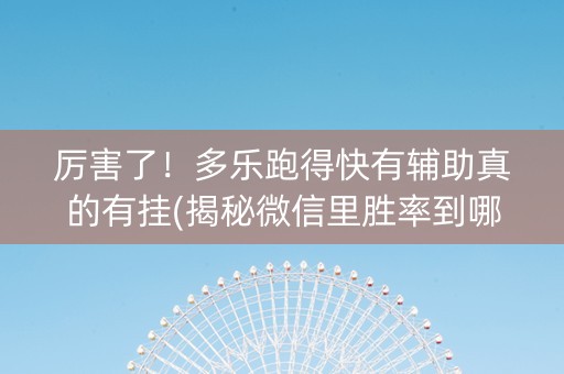 厉害了！多乐跑得快有辅助真的有挂(揭秘微信里胜率到哪调)