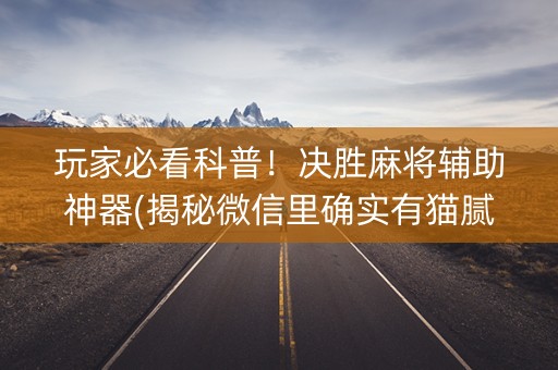 玩家必看科普！决胜麻将辅助神器(揭秘微信里确实有猫腻)