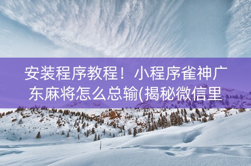 安装程序教程！小程序雀神广东麻将怎么总输(揭秘微信里确实有猫腻)
