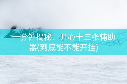 一分钟揭秘！开心十三张辅助器(到底能不能开挂)