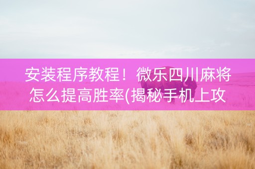 安装程序教程！微乐四川麻将怎么提高胜率(揭秘手机上攻略插件)