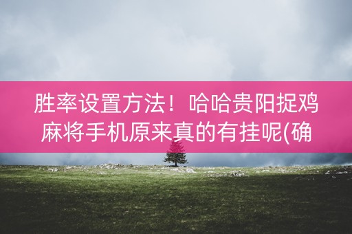 胜率设置方法！哈哈贵阳捉鸡麻将手机原来真的有挂呢(确定是有挂)