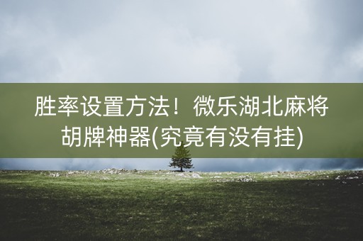 胜率设置方法！微乐湖北麻将胡牌神器(究竟有没有挂)