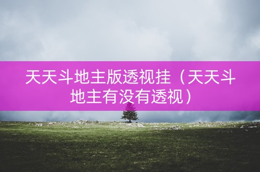 天天斗地主版透视挂（天天斗地主有没有透视）