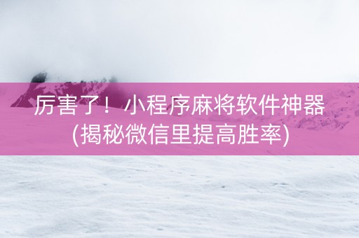 厉害了！小程序麻将软件神器(揭秘微信里提高胜率)