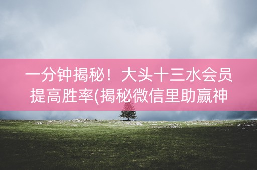 一分钟揭秘！大头十三水会员提高胜率(揭秘微信里助赢神器购买)