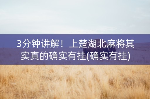 3分钟讲解！上楚湖北麻将其实真的确实有挂(确实有挂)