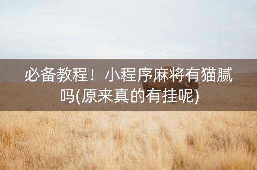 必备教程！小程序麻将有猫腻吗(原来真的有挂呢)