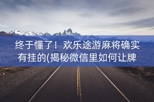 终于懂了！欢乐途游麻将确实有挂的(揭秘微信里如何让牌变好)