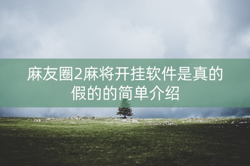 麻友圈2麻将开挂软件是真的假的的简单介绍