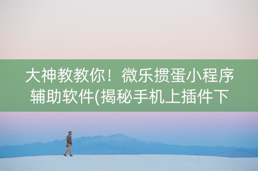 大神教教你！微乐掼蛋小程序辅助软件(揭秘手机上插件下载)