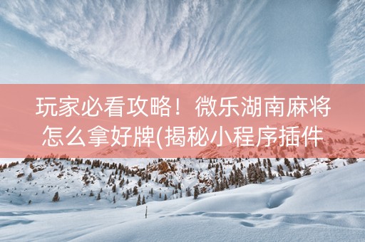 玩家必看攻略！微乐湖南麻将怎么拿好牌(揭秘小程序插件免费)
