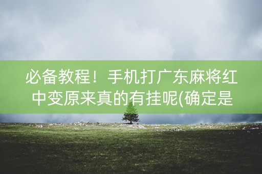 必备教程！手机打广东麻将红中变原来真的有挂呢(确定是有挂)