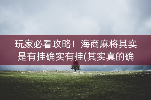 玩家必看攻略！海商麻将其实是有挂确实有挂(其实真的确实有挂)