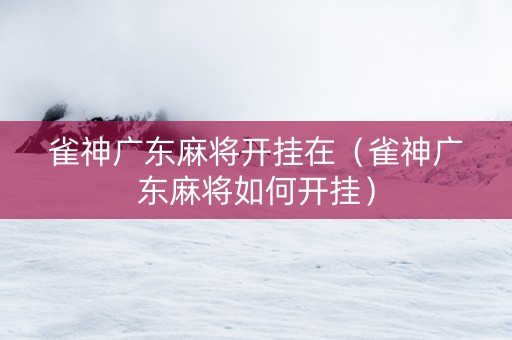 雀神广东麻将开挂在（雀神广东麻将如何开挂）