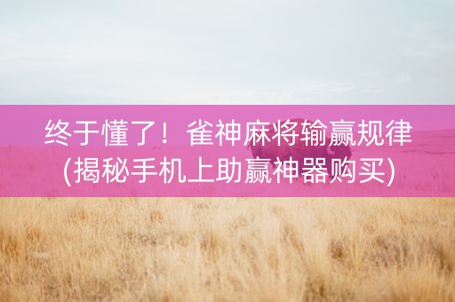 终于懂了！雀神麻将输赢规律(揭秘手机上助赢神器购买)