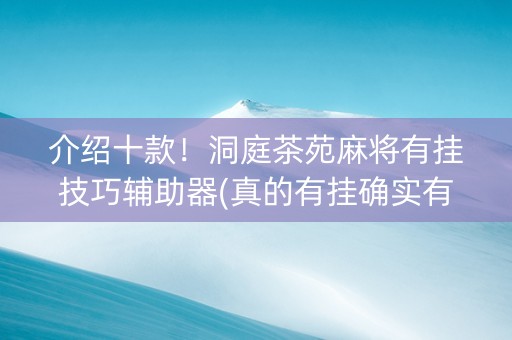 介绍十款！洞庭茶苑麻将有挂技巧辅助器(真的有挂确实有挂)