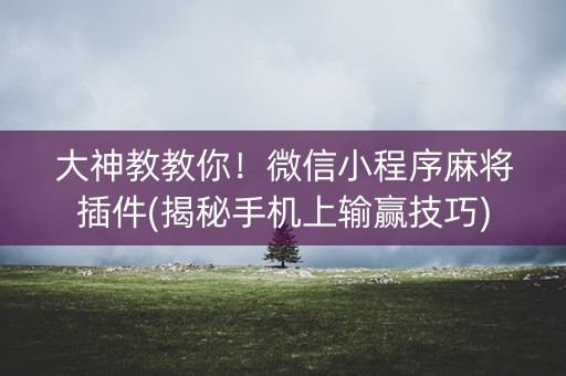 大神教教你！微信小程序麻将插件(揭秘手机上输赢技巧)