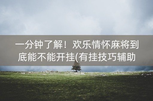 一分钟了解！欢乐情怀麻将到底能不能开挂(有挂技巧辅助器)