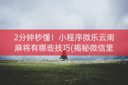 2分钟秒懂！小程序微乐云南麻将有哪些技巧(揭秘微信里赢的秘诀)