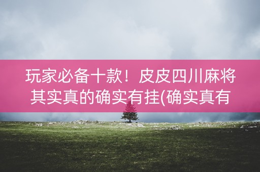玩家必备十款！皮皮四川麻将其实真的确实有挂(确实真有挂)