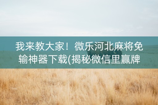 我来教大家！微乐河北麻将免输神器下载(揭秘微信里赢牌技巧)