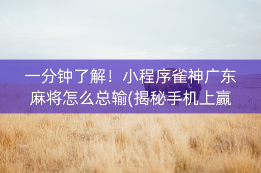 一分钟了解！小程序雀神广东麻将怎么总输(揭秘手机上赢的诀窍)