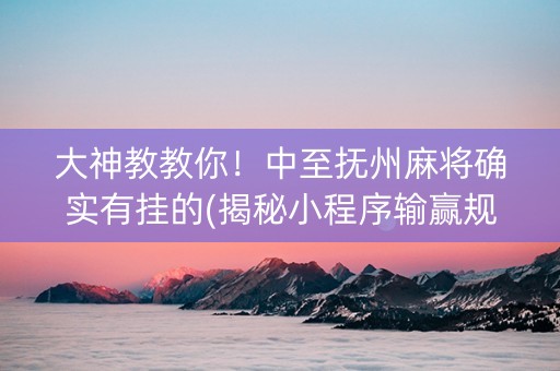 大神教教你！中至抚州麻将确实有挂的(揭秘小程序输赢规律)