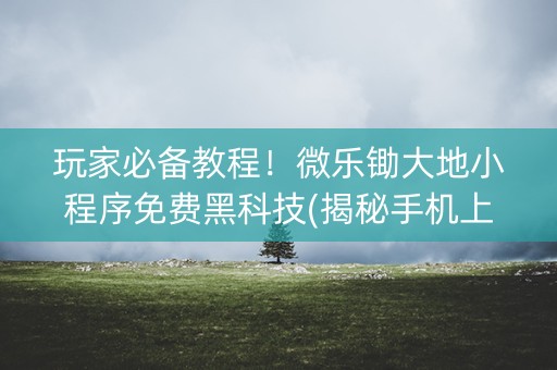 玩家必备教程！微乐锄大地小程序免费黑科技(揭秘手机上赢牌技巧)