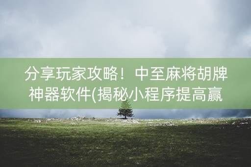 分享玩家攻略！中至麻将胡牌神器软件(揭秘小程序提高赢的概率)