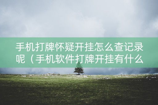 手机打牌怀疑开挂怎么查记录呢（手机软件打牌开挂有什么特征）