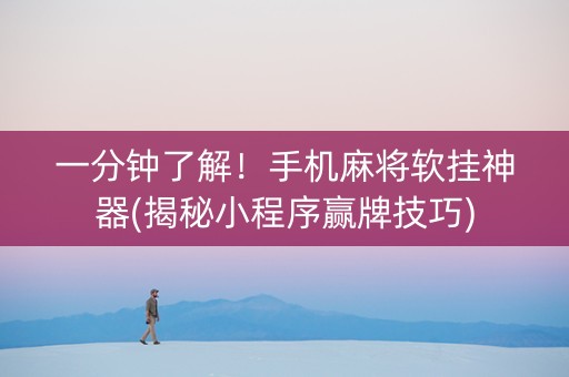 一分钟了解！手机麻将软挂神器(揭秘小程序赢牌技巧)
