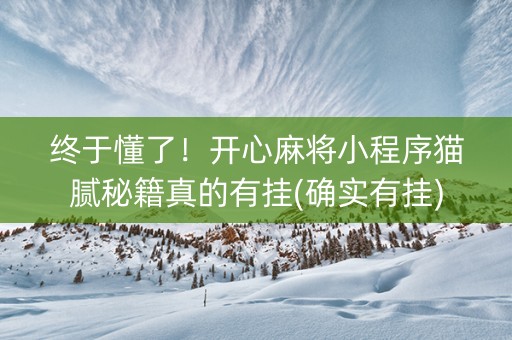 终于懂了！开心麻将小程序猫腻秘籍真的有挂(确实有挂)
