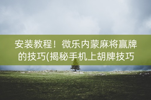 安装教程！微乐内蒙麻将赢牌的技巧(揭秘手机上胡牌技巧)