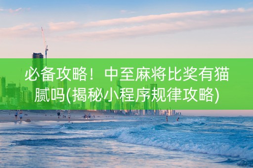必备攻略！中至麻将比奖有猫腻吗(揭秘小程序规律攻略)
