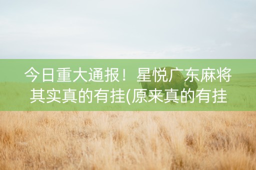 今日重大通报！星悦广东麻将其实真的有挂(原来真的有挂)