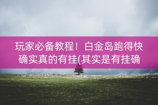 玩家必备教程！白金岛跑得快确实真的有挂(其实是有挂确实有挂)
