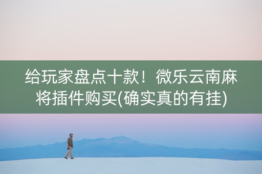 给玩家盘点十款！微乐云南麻将插件购买(确实真的有挂)