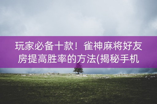 玩家必备十款！雀神麻将好友房提高胜率的方法(揭秘手机上赢牌的技巧)